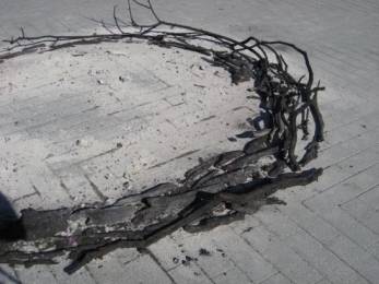 Serie cycle, cendres