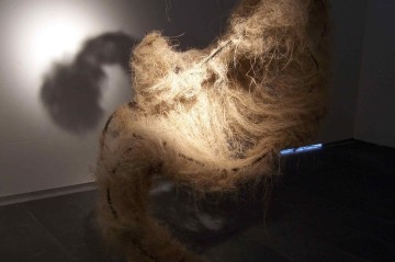 Mémoires, fer et fibre vegetal